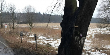 Při nehodě u Hluboše uhořel v autě člověk