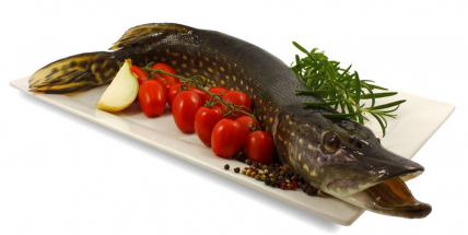 Ryby i zvěřina - pochutná si celá rodina