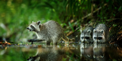 Aby vás fotografie mohla živit, musí vás hlavně bavit