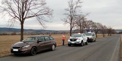 Srnka u Voltuše urazila řidiči zrcátko