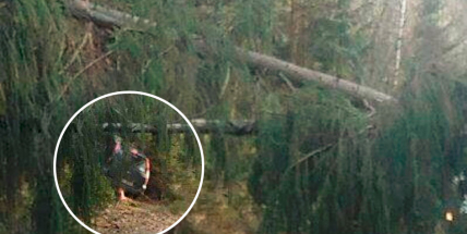 Padlý strom ukončil cestu řidiči u obce Radíč