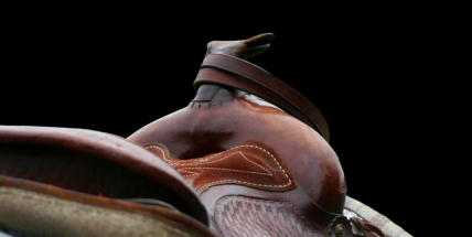 Odcizil sedla za 100 tisíc korun