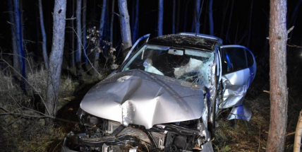 Řidička vylétla na D4 u Jíloviště z dálnice do lesa, kde porazila několik stromů