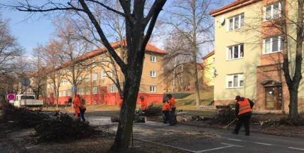 Začalo kácení lip v ulici 28. října