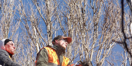 Muže ve Staré Huti zranila větev, přiletěl pro něj vrtulník