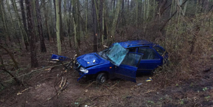U Trhových Dušnik  skočilo auto v příkopu