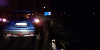Srážka vozu s lesní zvěří zaměstnává policisty u obce Háje