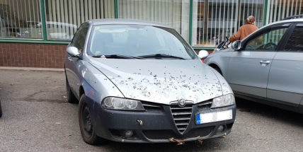 FOTO DNE: Projel kurníkem?