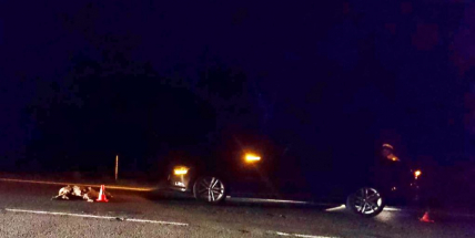 Setmělo se a máme tu další nehodu se zvěří