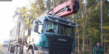 Srnec skončil v kabině Scanie