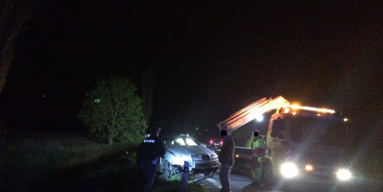 Aktuálně: Na silnici 19 po střetu se srnou skončil vůz v příkopu