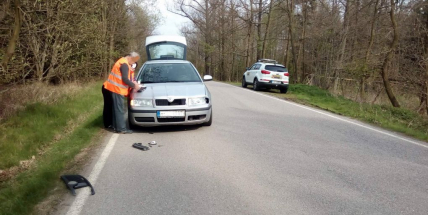 U Pičína se střetl osobní vůz se srnou, po nárazu utekla