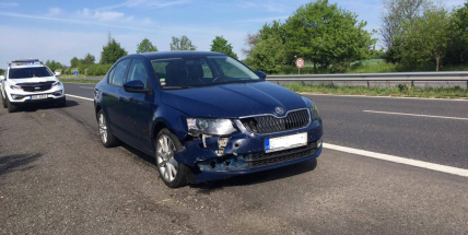 Na dálnici D4 smetlo auto srnu