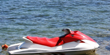 Za loňskou srážku vodního skútru s pramicí na Orlíku soud udělil podmínku