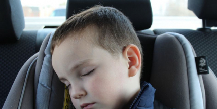 Nechat dítě nebo psa v těchto dnech v zavřeném autě je hazard o jejich život