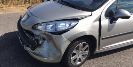 Právě teď: U Skalky osobák smetl srnu