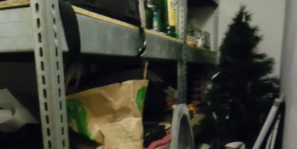 Hygieniky v restauraci na Spartaku překvapil vánoční stromeček