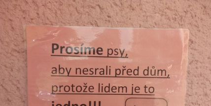 FOTO DNE: Kálí váš pes po městě? Naučte ho číst