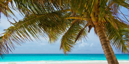 Dovolená v zahraničí, na co si dát pozor?