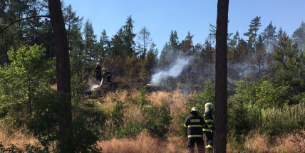 U Lhoty hoří lesní porost