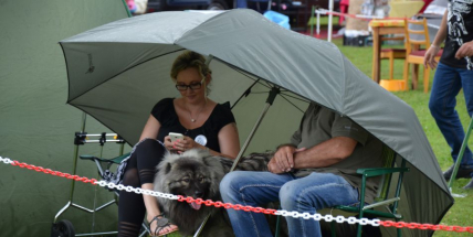 V Podlesí se vybírali ti nejhezčí psi