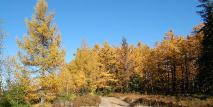 Spolek pro rozvoj turistiky v Brdech se zaměří na širší region