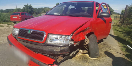 Šoféra píchla včela do krku, přerazil betonový sloup a skončil v plotě