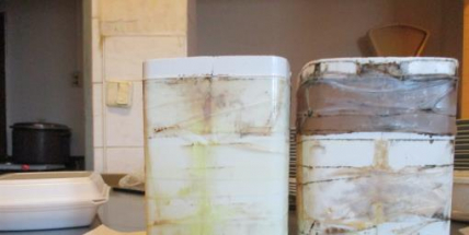 Hygienici si posvítili na čínskou restauraci na Flusárně