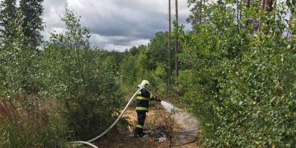 Hasiči před několika minutami zlikvidovali oheň v lese na okraji Příbrami
