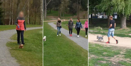 I přes zákaz chodí do areálu Nového rybníka lidé se psy