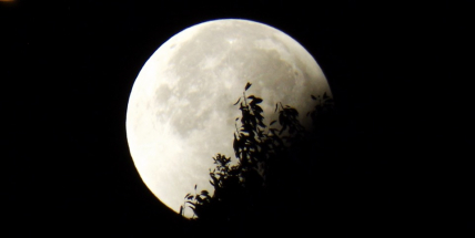 V pondělí budeme moci pozorovat částečné zatmění měsíce