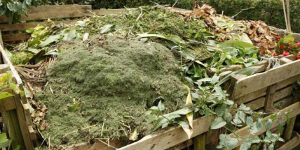 Technické služby budou přistavovat velkoobjemové kontejnery na biologický odpad ze zahrad