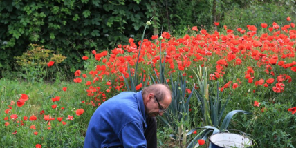 Počet zahrádkářských kolonií ve středních Čechách stagnuje