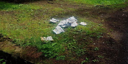 Někdo lesy uklízí a někdo se v nich zbavuje odpadků