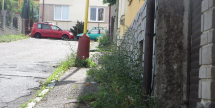 Některé chodníky a ulice ve městě pomalu připomínají spíš louku