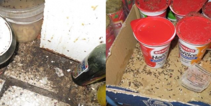 Výskyt myší a zanedbaný úklid zavřely obchod v Bohosticích