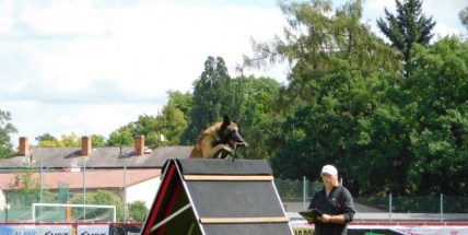 Víkend patřil v Dobříši čtyřnohým miláčkům