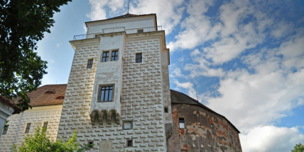 Petice za záchranu zámku v Rožmitálu pod Třemšínem nasbírala už 382 podpisů