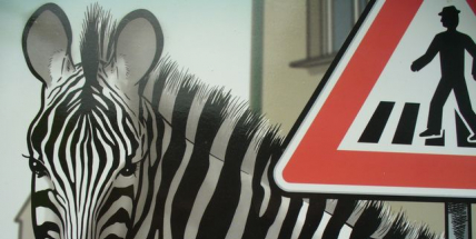 Akce „Zebra se za Tebe nerozhlédne!“