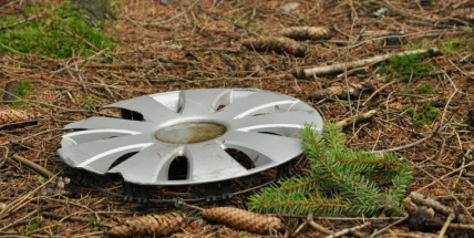 Pro poklici na auto je dobré zajet si do lesa