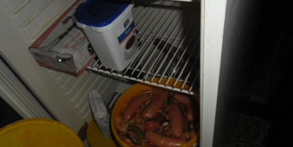 Občerstvení "U Páji" na Slapech mělo nečekanou návštěvu