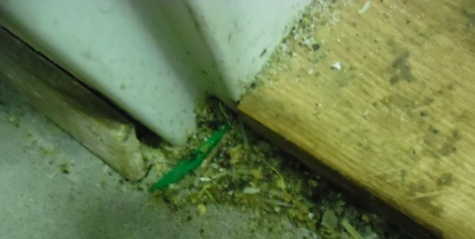 Prošlé maso a nepořádek v Čínském bistru HUI BIN GE