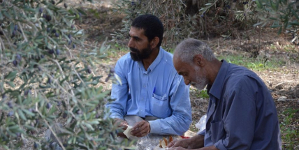 Největší obavy mají Češi z nárůstu uprchlíků a rostoucích teroristických útoků v Evropě.