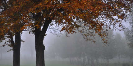 Na Den české státnosti se Příbramsko zahalilo do mlhy