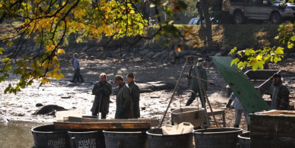 OBRAZEM: Výlov Sadoňského rybníku sledovaly stovky lidí