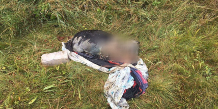 Tohle je i pod psí důstojnost!