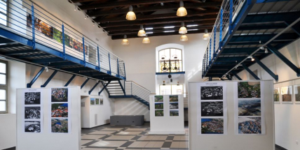 Výstavy fotografií Nebeské Rožmitálsko a Houby ukazují netradiční pohledy na přírodní scenérie