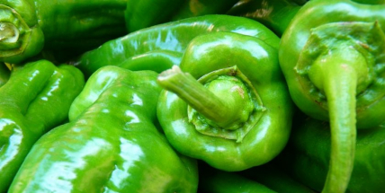 O víkendu se opět otevírají Farmářské trhy na Dvořákově nábřeží