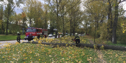 FOTO: Na projíždějící auto v Příbrami spadl strom.