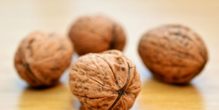 Ořešák a jeho plody využijete nejen na pečení buchet a do vánočního cukroví